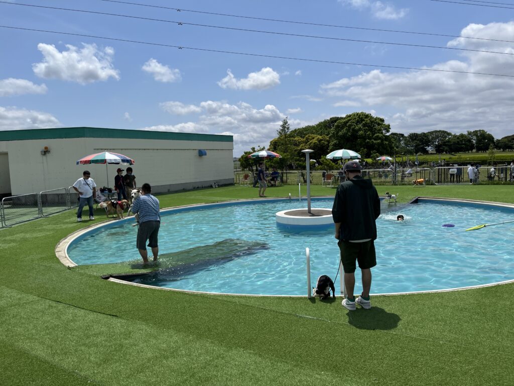 常総運動公園のギャラリー写真3