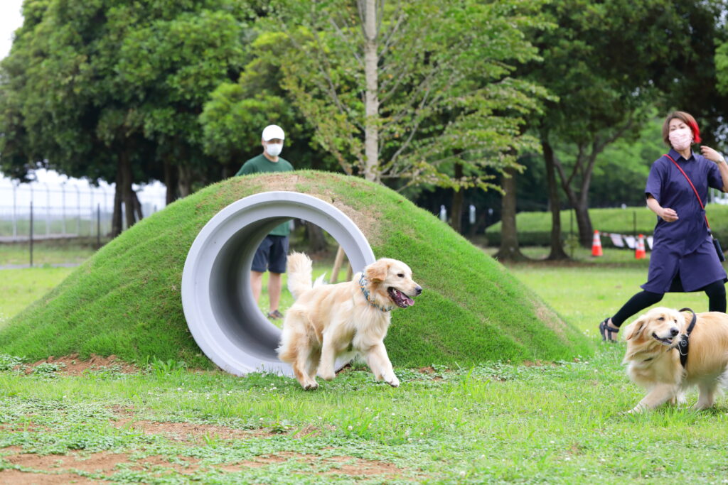 常総運動公園のギャラリー写真5